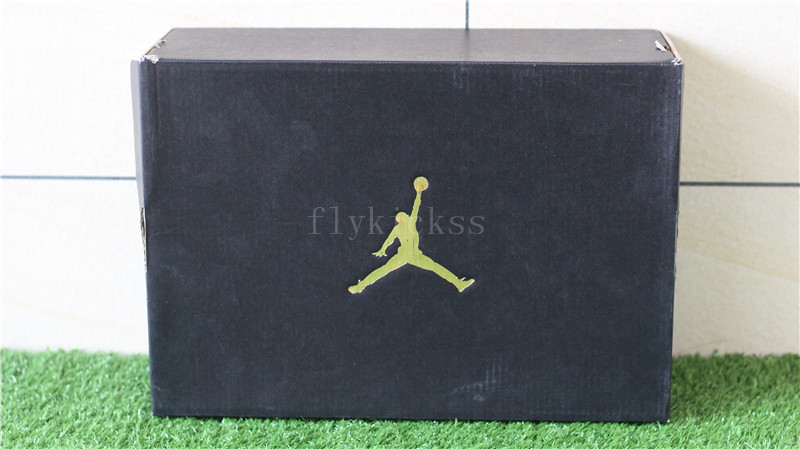 Authentic Air Jordan 11 Velvet Black